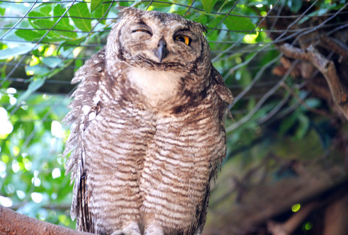 World of Birds Wildlife Sanctuary.